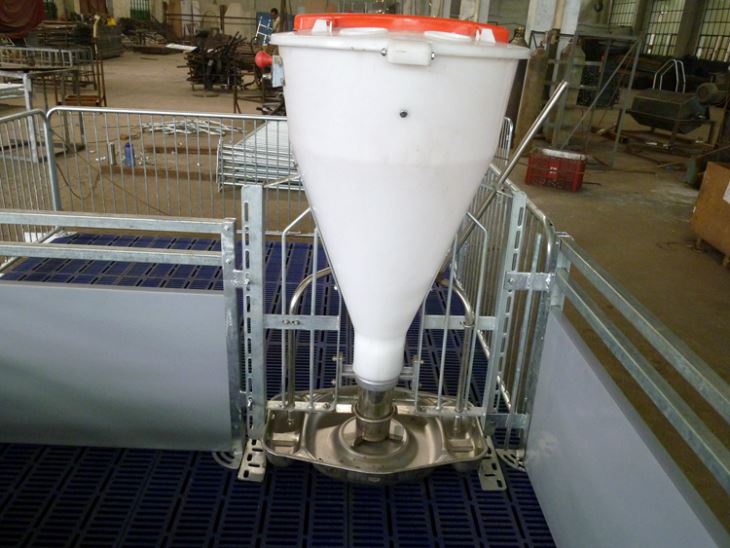 Pig Dry-wet Feeder