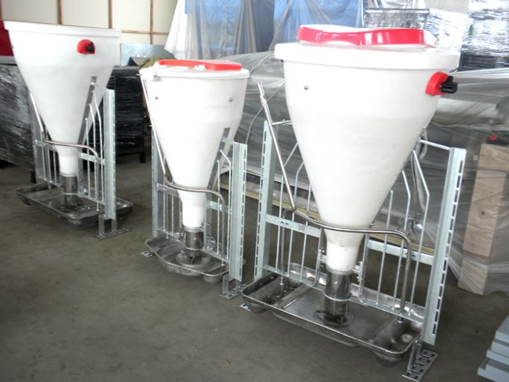 Pig Dry-wet Feeder